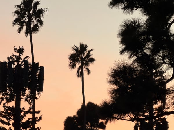 Sunsets